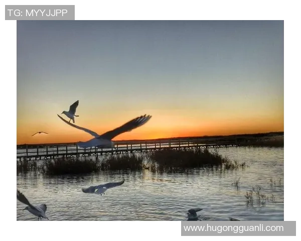 足球匡俊杰的传奇之路与梦想追逐的精彩瞬间